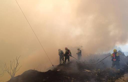 Imagen del incendio forestal en el sector de El Chamizal, en El Quinche, el pasado 2 de septiembre de 2024.