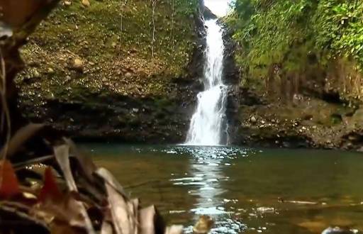 Ríos y cascadas en Puerto Quito.