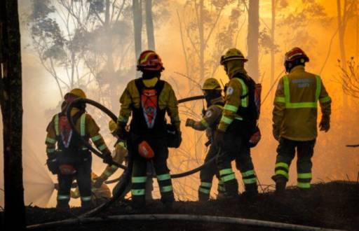 Un grupo de bomberos trabaja extinguiendo al fuego en la capital.