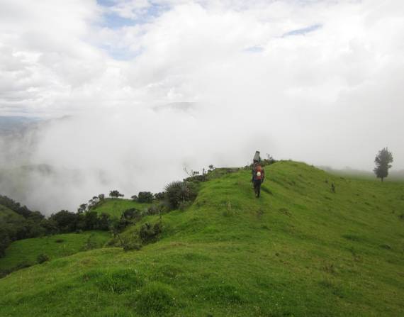 El bosque de Tangán, ubicado en el cantón Sigchos, en Cotopaxi.