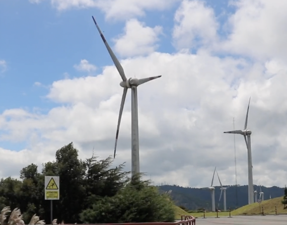 Visitar Loja es una buena idea, si lo tuyo son las paradas que te conectan con la naturaleza y si disfrutas de los proyectos que persiguen su conservación.