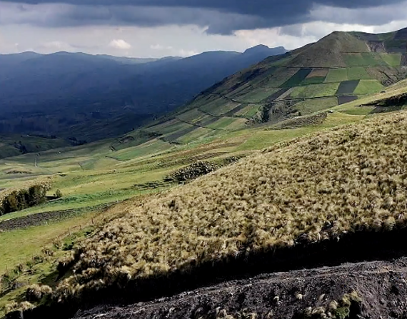 El páramo es fundamental en la lucha contra el cambio climático