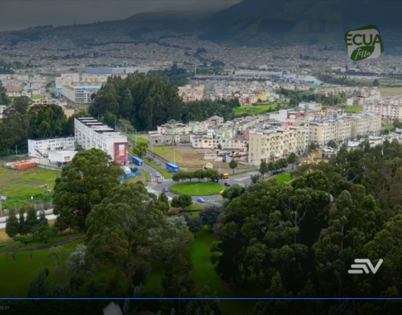 El trabajo minucioso detrás de la arborización y ornato de Quito