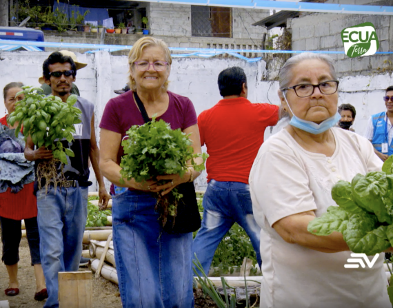 ¿Cómo hacer un huerto urbano? Te damos los pasos a seguir