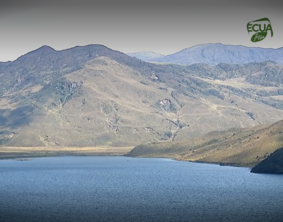 La Reserva Ecológica del Antisana es una de las fuentes naturales de agua con las que cuenta nuestro país. El cambio climático amenaza estos espacios vitales para nuestra supervivencia.