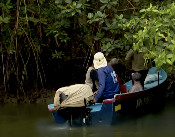 Manabí: Reforestación del manglar y pesca responsable en la isla del Amor