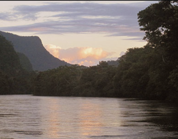 Los bosques protectores ocupan el 10 % del territorio nacional y son espacios que permiten el desarrollo de una infinidad de especies de la flora y fauna. Acompáñanos en el recorrido por uno de estos. (Foto: Min. del Ambiente).