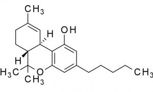 dr mike may issue 45 the science edition