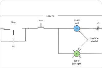 DNA Ladder Diagram