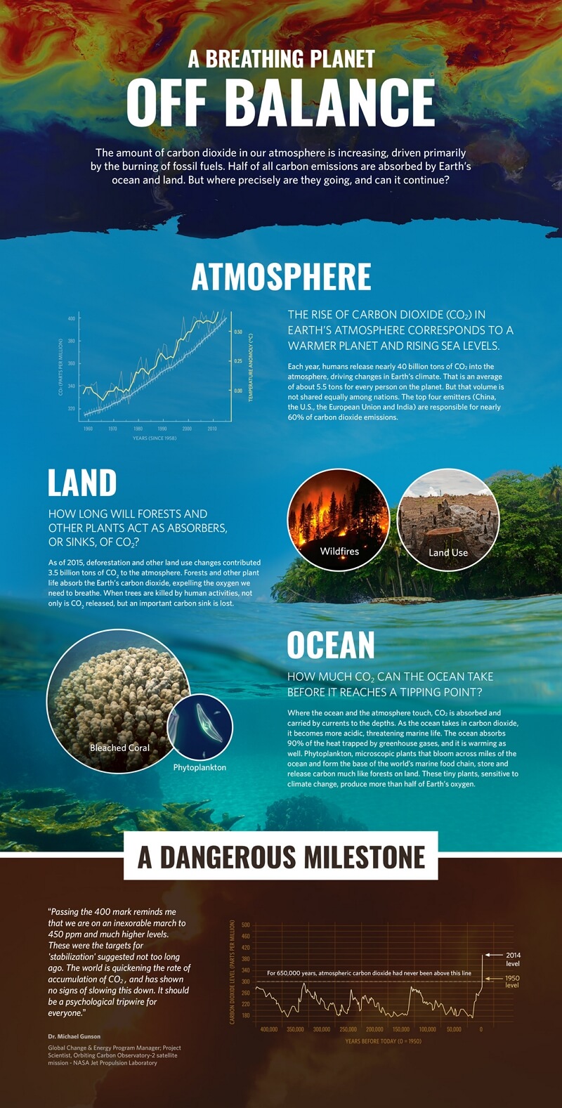 Earth's Carbon Cycle