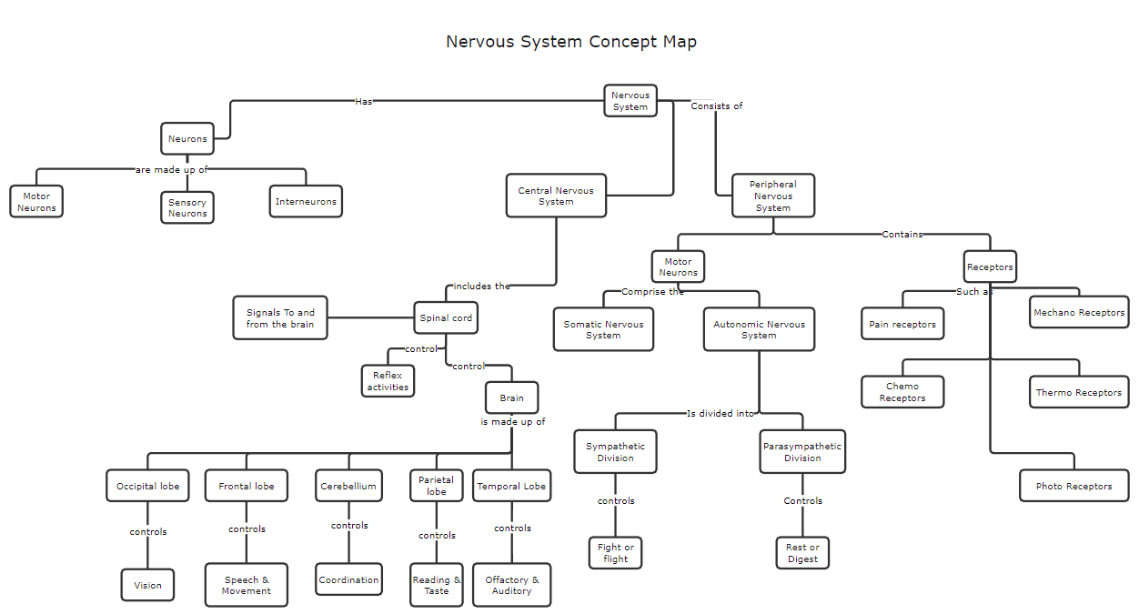 mappa concettuale