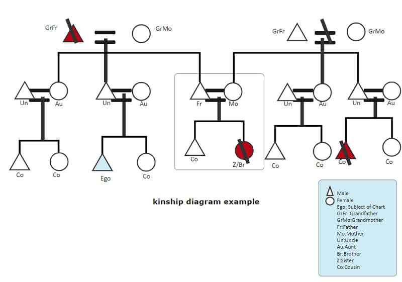 family genogram