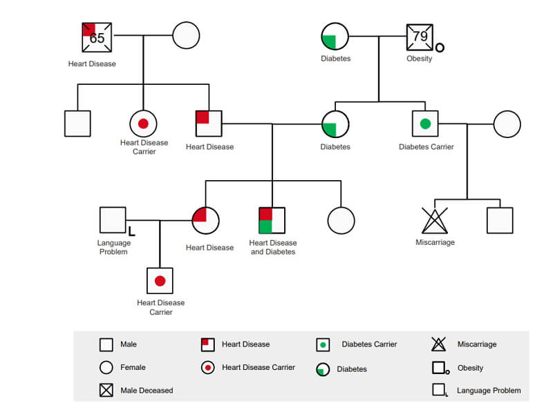 family genogram