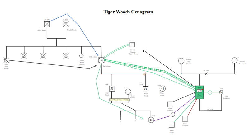 family genogram