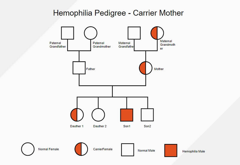 family genogram