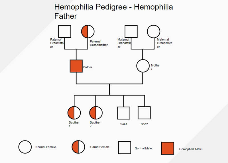 family genogram