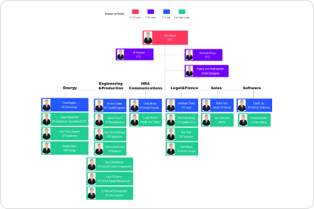 Tesla org chart