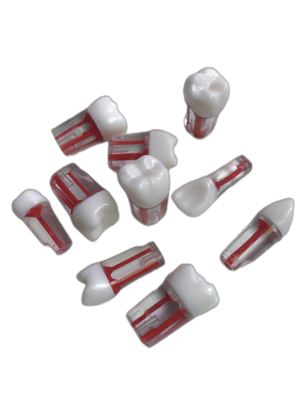 Resin Teeth 