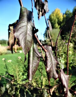 L'automne s'installe!