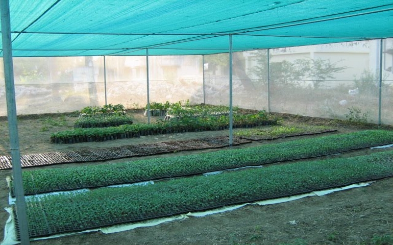 Agro Shade Net