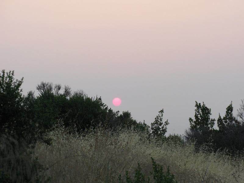 red sun in smoky sky