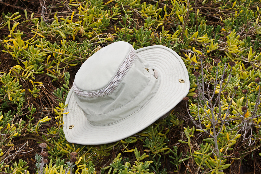 Tilley Hat in swamp