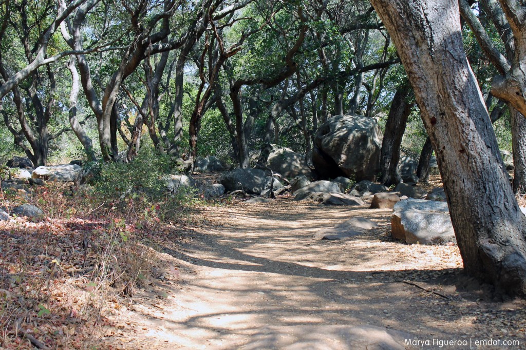 Towards the base of Bishop Peak.