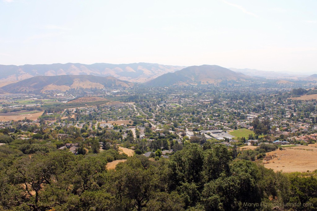 From Bishop's towards downtown.