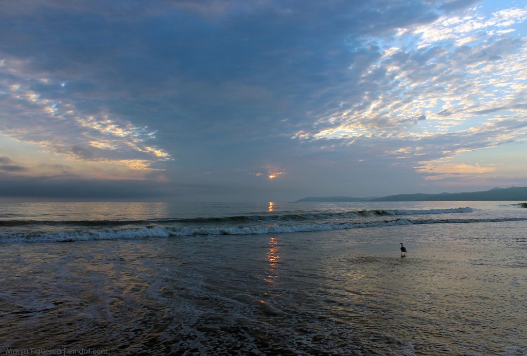 Morro Bay Dog Beach