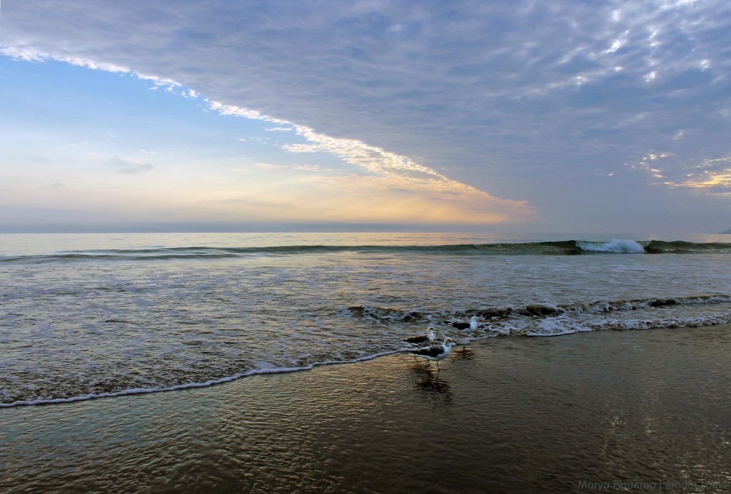 Morro Bay Dog Beach