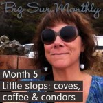 Big Sur Month 5