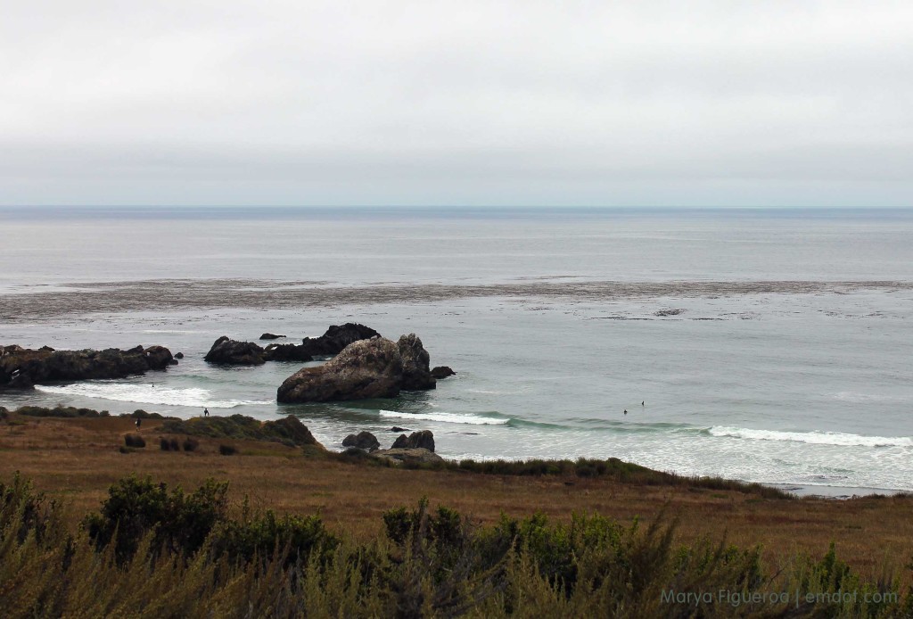 Surfers heading down to the beach