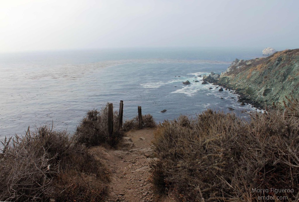 Trail, cliff edge