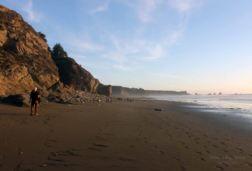 beach, looking south again