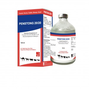 PENSTONG 20/20 Penstrep ( Penicillin G Procaine+ Dihydrostreptomycin Suspention)  20 20