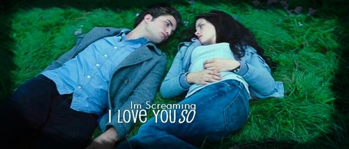 Twilight Movie Banner