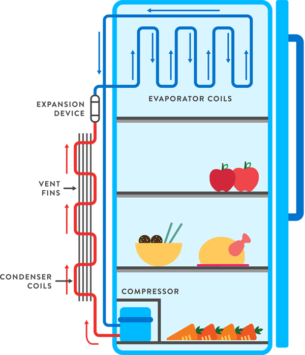 How does a fridge work?