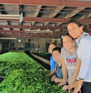 Norwood Tea Factory - Hatton, Sri Lanka