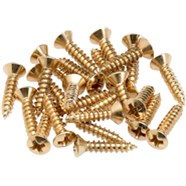 Pickguard - Control Plate Mounting Screws (24) - Gold