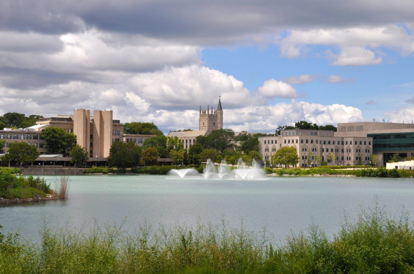 5. Northwestern University (Kellogg)