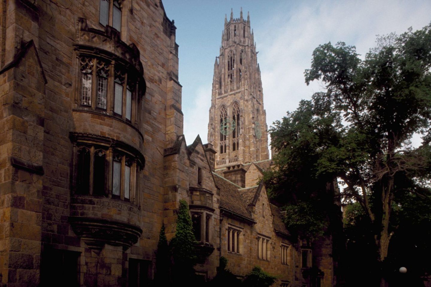 4. Yale University