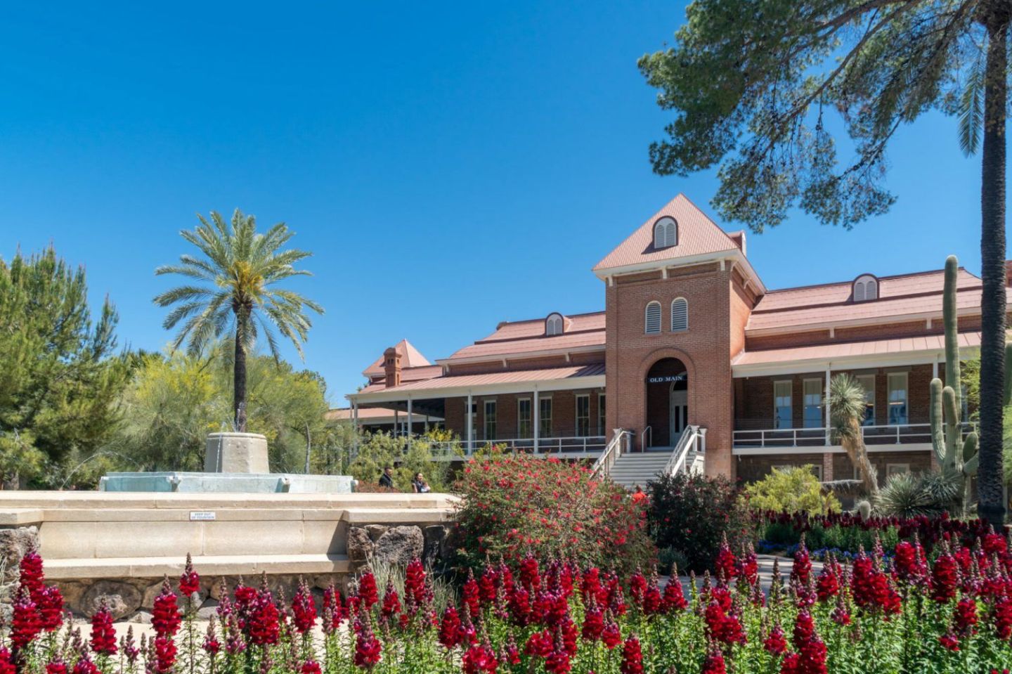 48. University of Arizona (Eller)