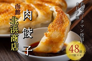 北海道ブランドSPF豚「若松ポークマン」を使った肉餃子48個(12個入り×4パック)