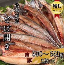 【北海道産】塩さば一夜干し開き特Lサイズ　500~550g×5枚(真空パック入り干物)