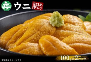 1259.訳あり うに チリ産 冷凍 200g ワケあり ウニ 雲丹 不揃い B級品 わけ あり 海鮮 4人前 丼 刺身 自宅用 送料無料 北海道 弟子屈町