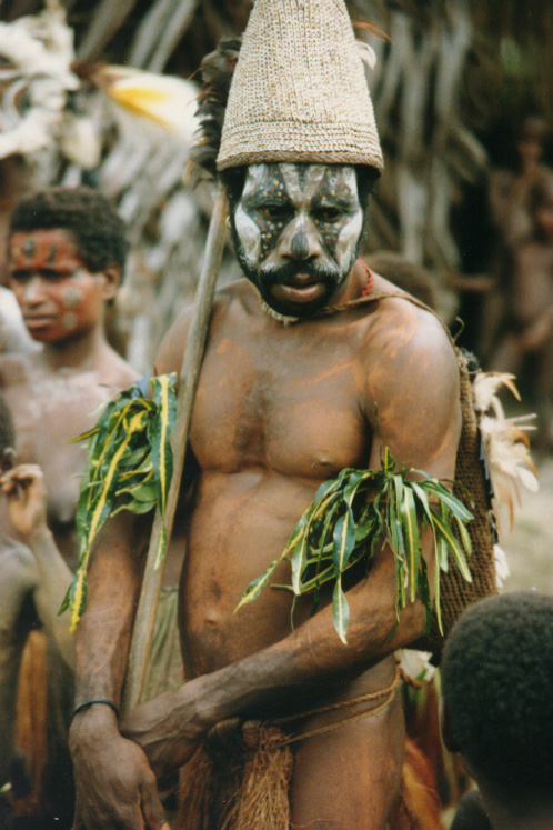 newguinea140.jpg (191688 bytes)