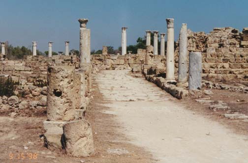 salamis1.jpg (61621 bytes)