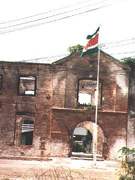 surinam1.jpg (61995 bytes)