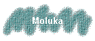 Moluka