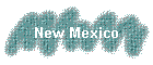 New Mexico